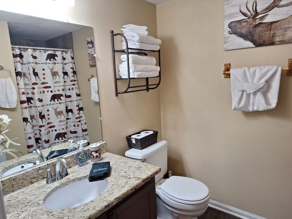 Bathroom has granite counter top and Elk theme