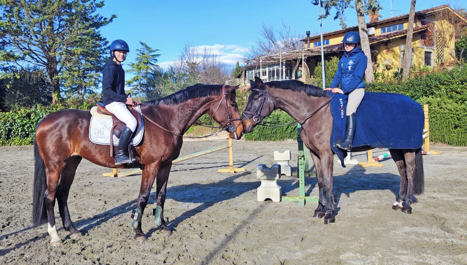 WE LOVE HORSES