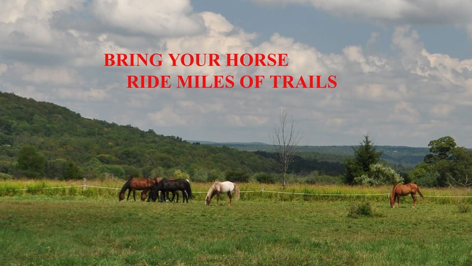 HORSE BOARDING AVAILABLE DURING YOUR STAY! PLEASE ASK FOR DETAILS ON BOARDING