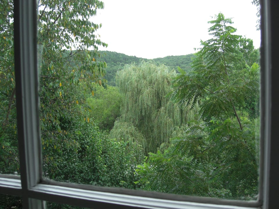View from bay window