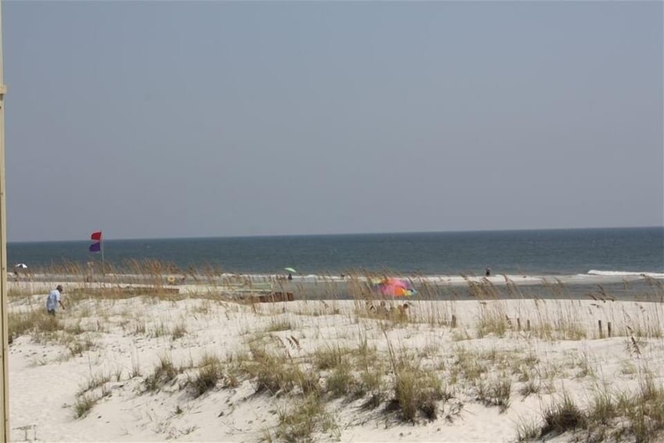Enough wind to fly kites