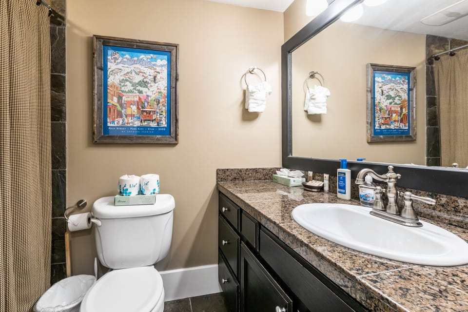 Downstairs guest/powder bathroom