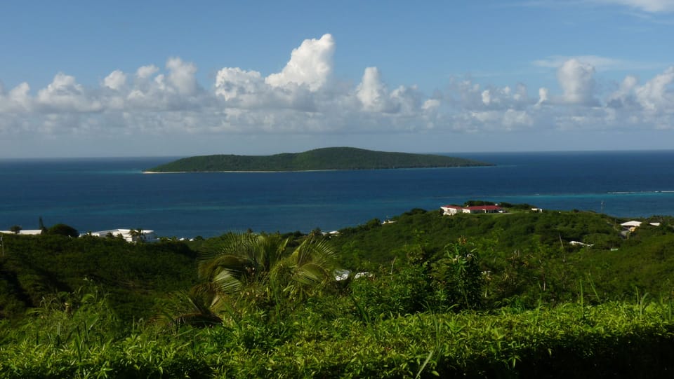 Amazing Buck Island view from pool!