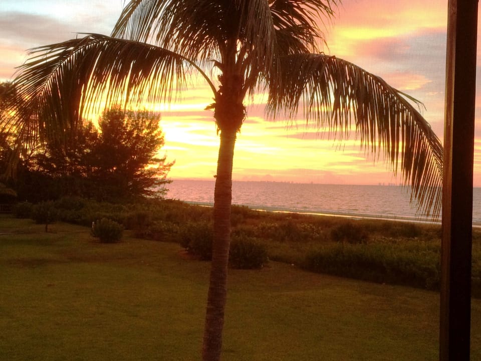 Your spectacular morning sunrise.