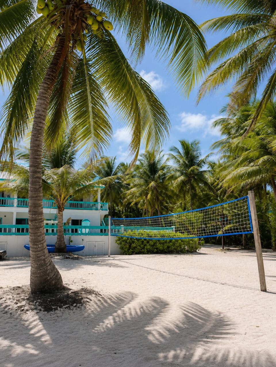 Large 2 acre grounds for volleyball or cornhole. Row to the reef w/ free kayaks