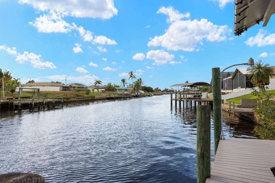 Hang out at the dock to fish, watch boaters & spot marine wildlife!