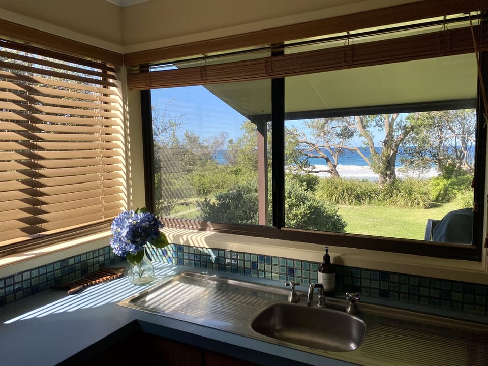 Watch the dolphins as you wash up.