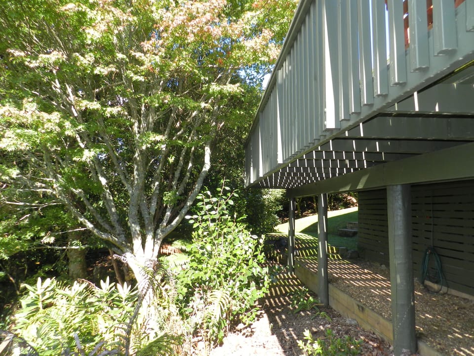 Path under deck