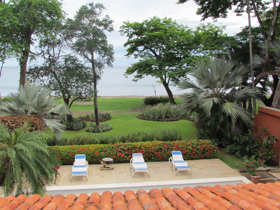 Walk a couple of feet towards the beach, pool and garden