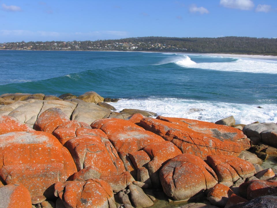 Binalong Bay Beach 

