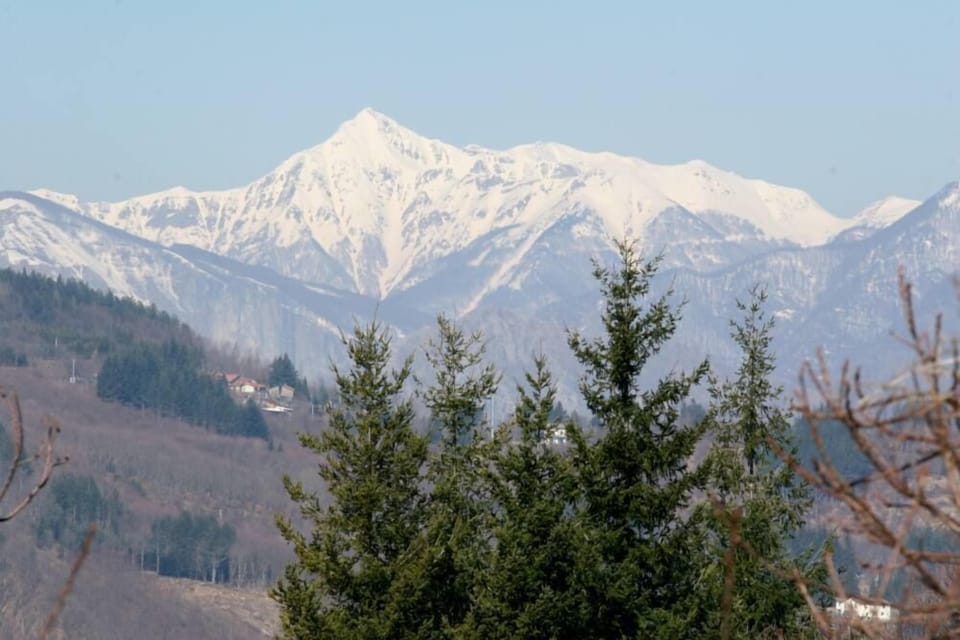 Mountain view