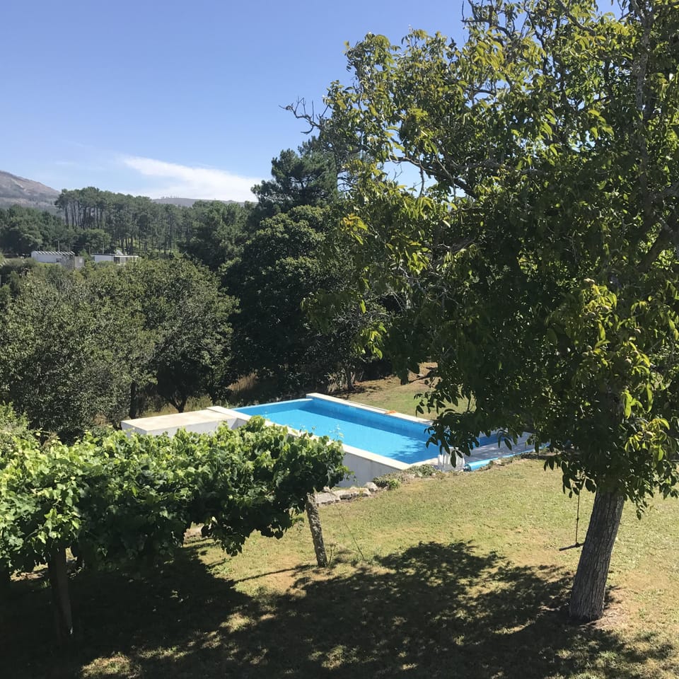 View of swimming pool from the main house