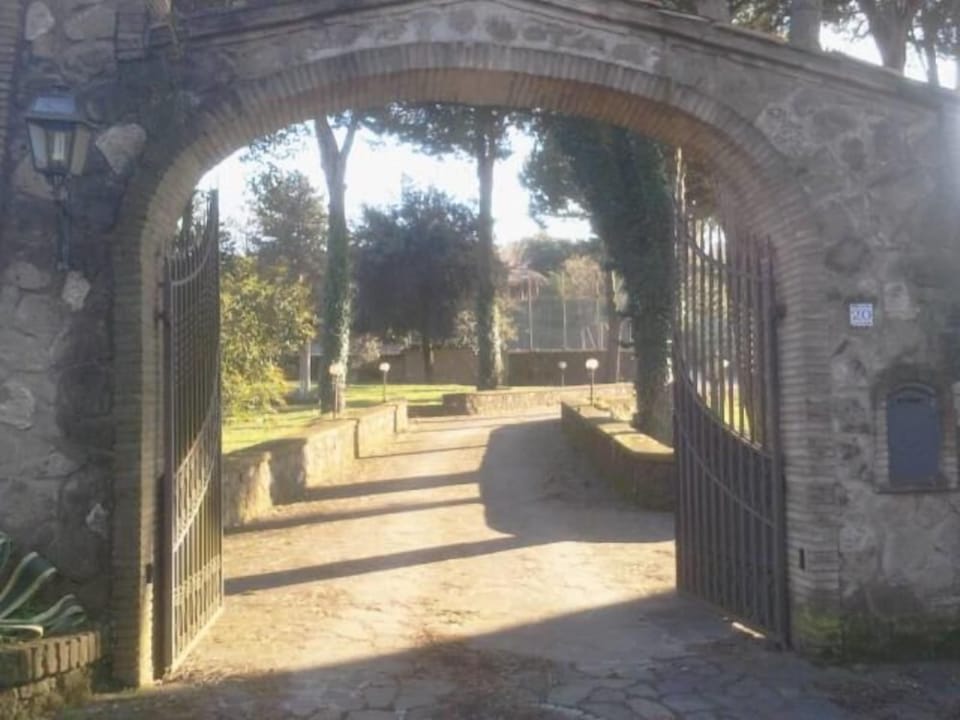 Garden, Park