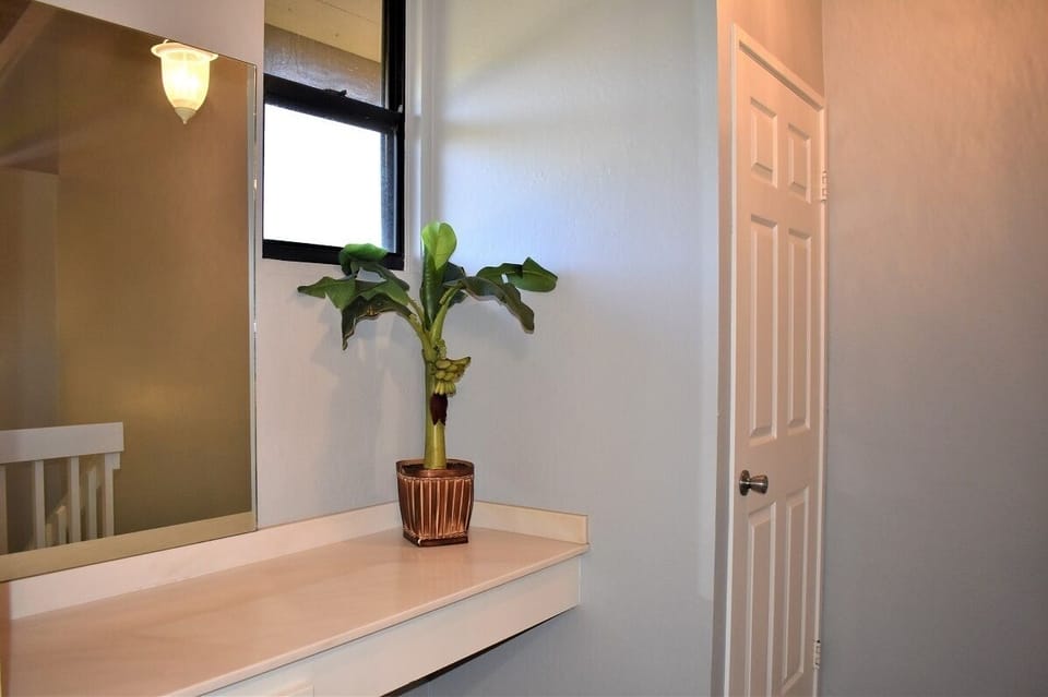 Primary bathroom area