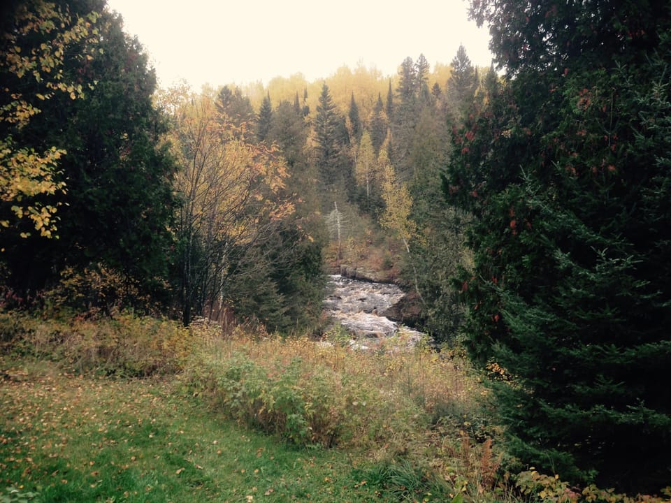 River view from cabin