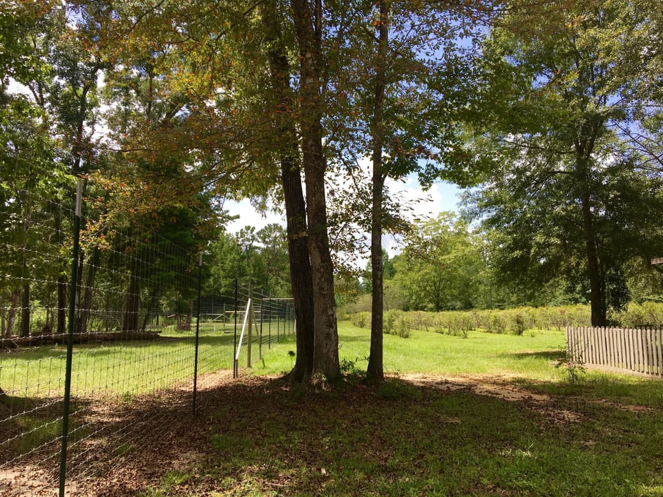 Blueberry orchard and deer pens
