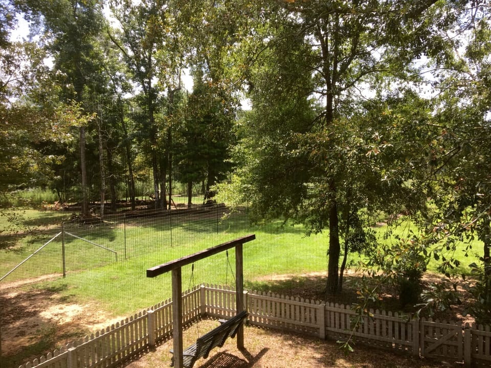 View from upstairs 
