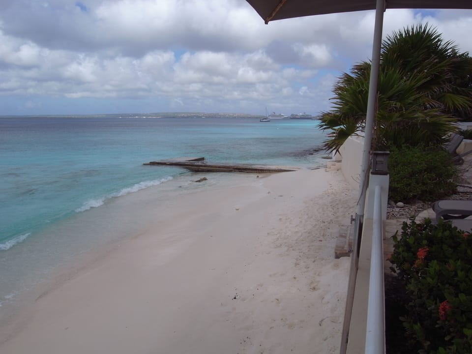 From the pool deck looking north