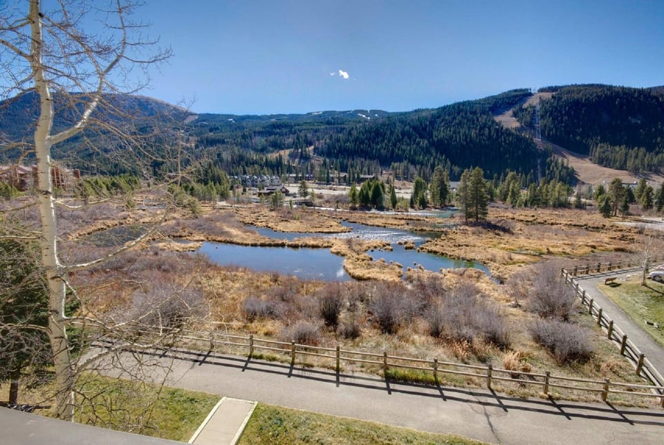 Summer view--wide angle lens distorts distance but shows part of mile-wide view.