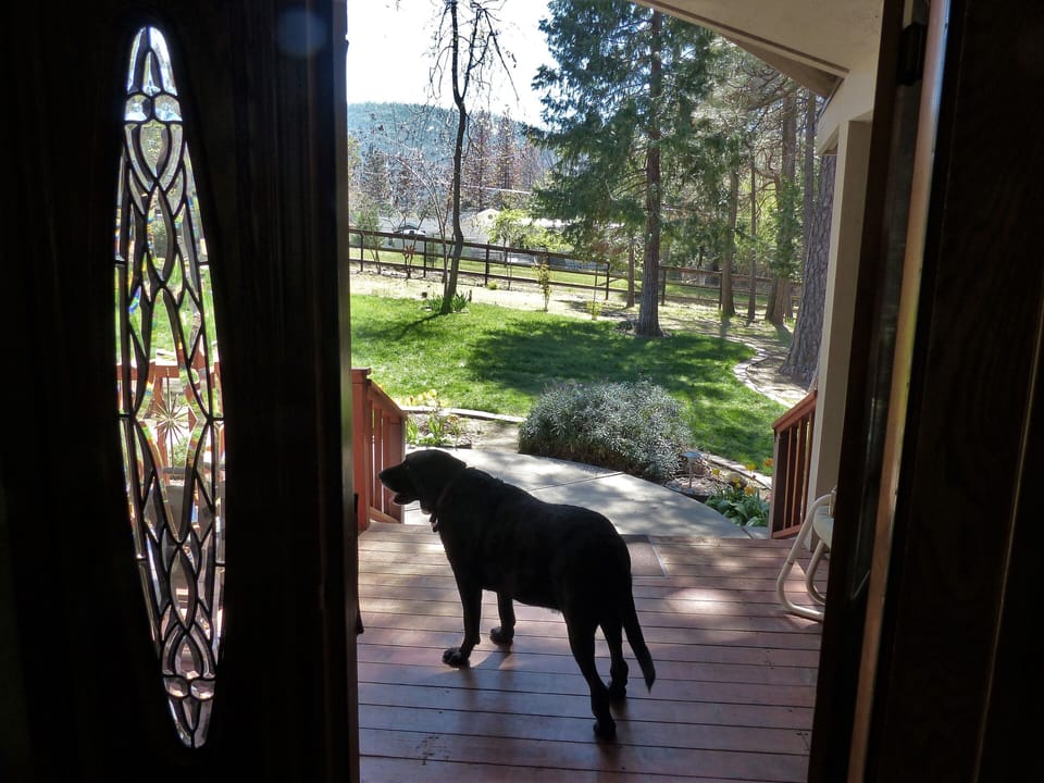 View from front door.