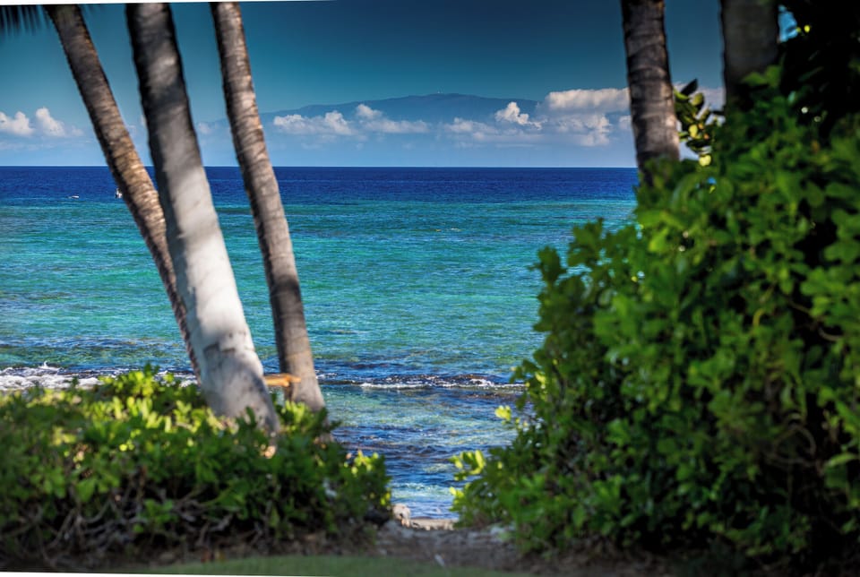 Peek-a-boo of trail outlet from ocean lawn to vast Puako beach and reef system.