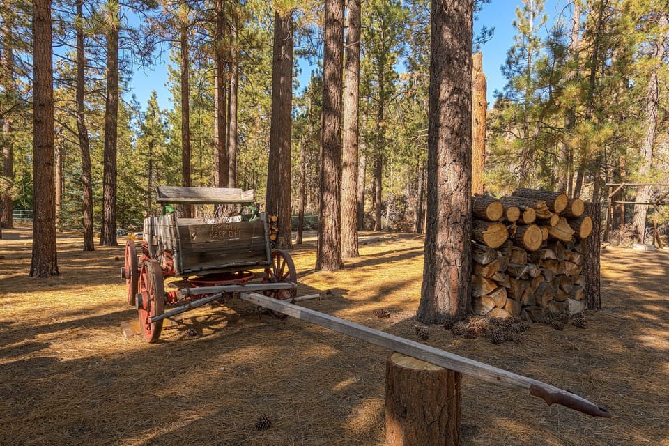 Antique wagon over 170 years old