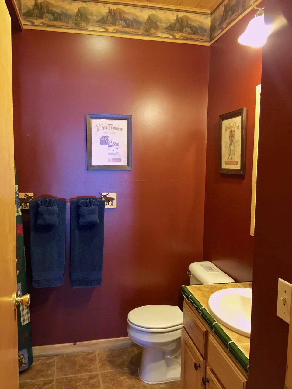 Lower level bathroom
