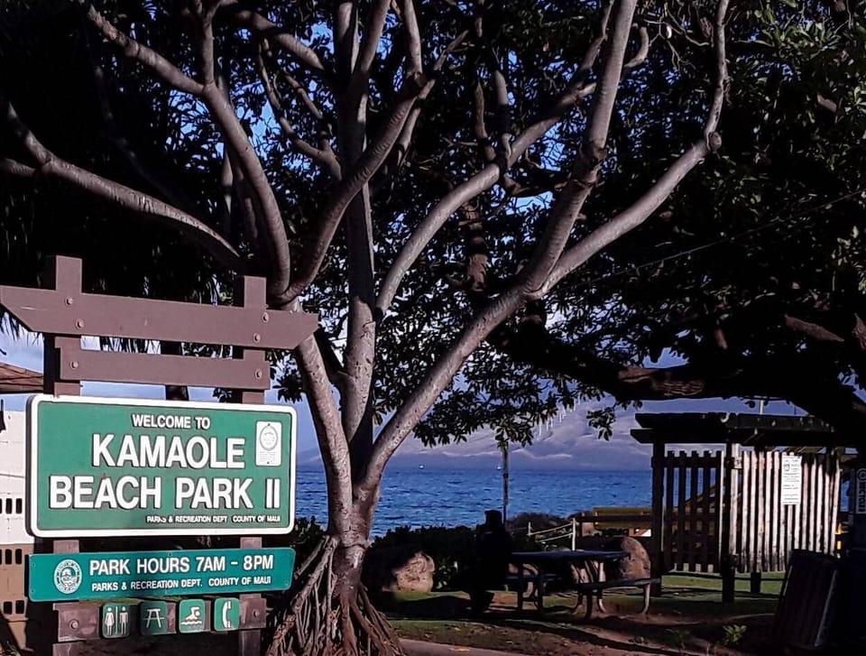 You're a one-minute walk from a spectacular sandy beach, usually uncrowded.
