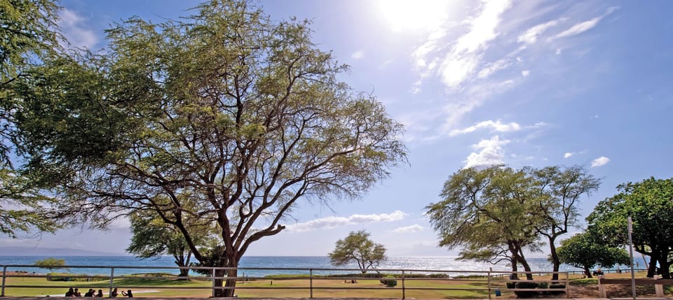 Kamaole 3 beach park