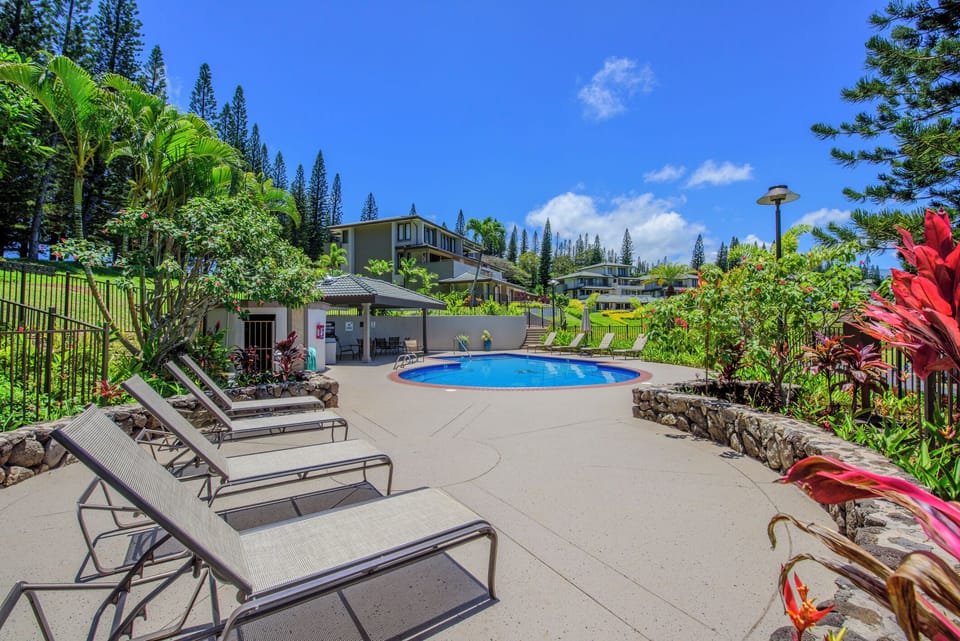 lounge at the pool