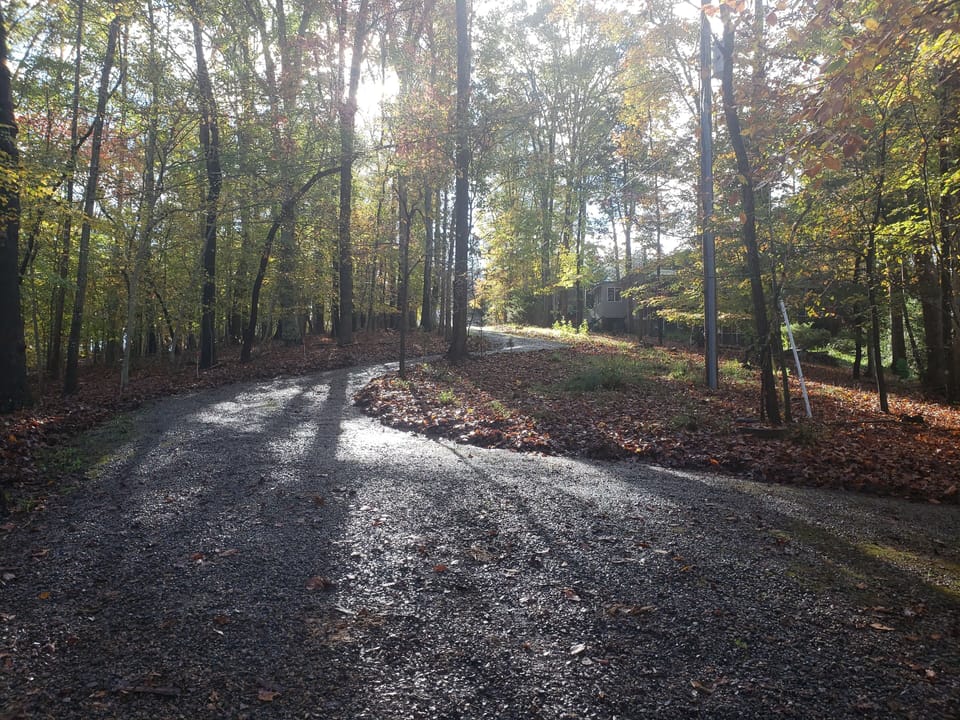 View from the front of the house looking up the driveway toward the street. 
