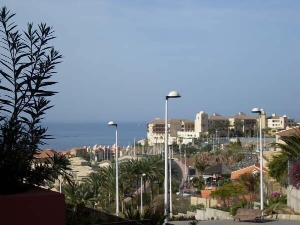 Terrace View