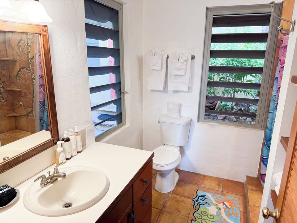 The main house bathroom