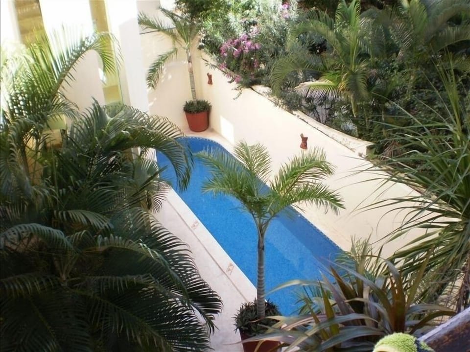 Looking down from the balcony to our mosaic tiled pool in our tropical garden 