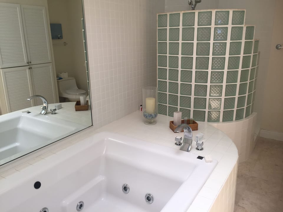 Master bath with huge jetted tub and adjacent glass block shower area.