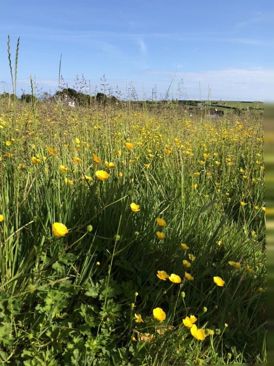 Making hay in the summer months.
