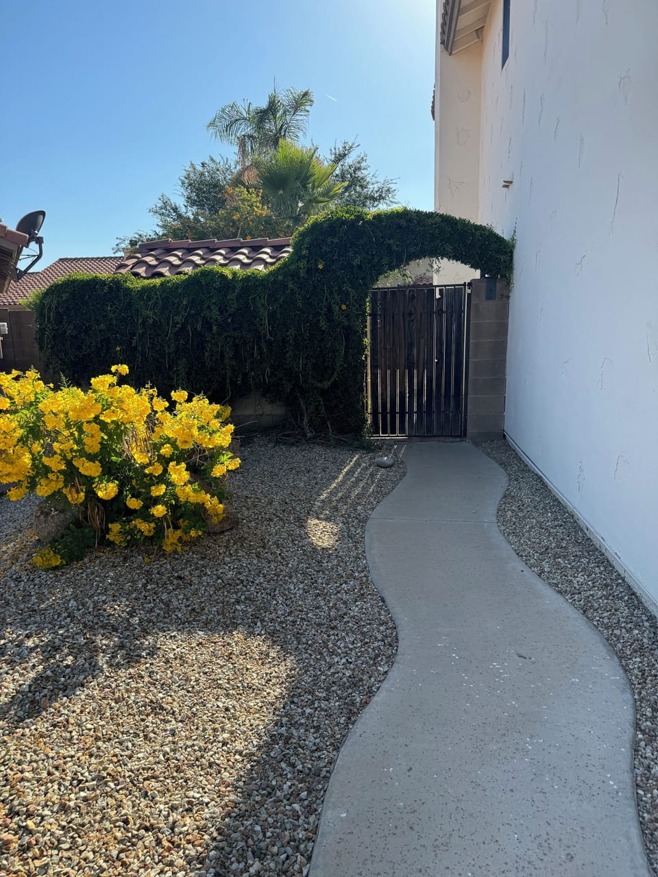 Lush side gate