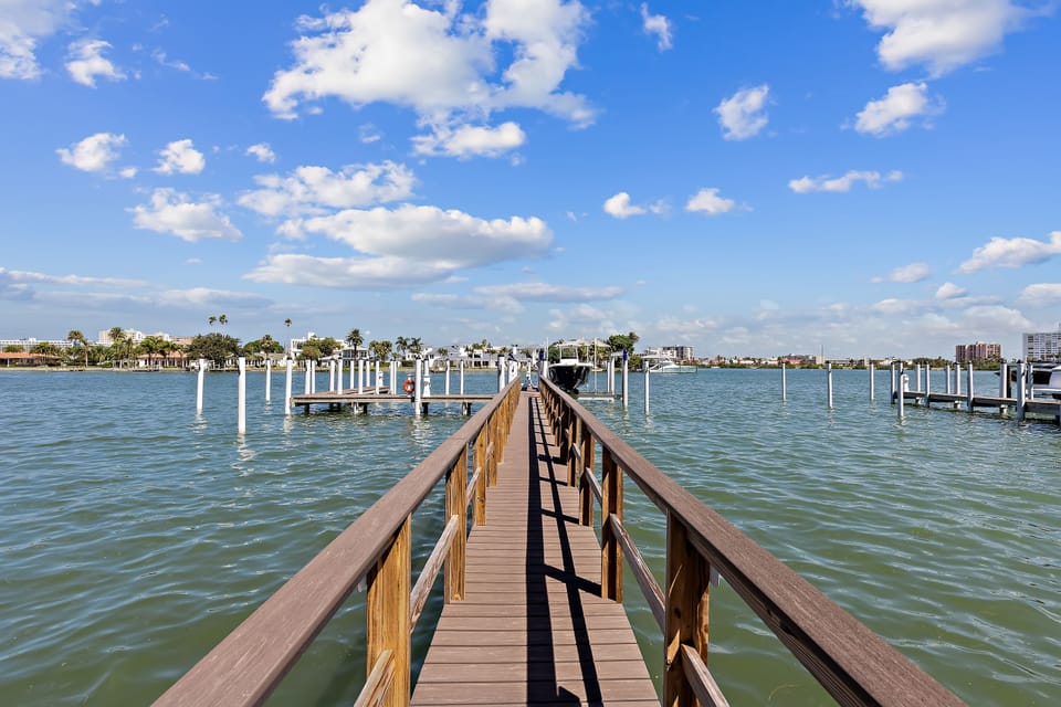 There is a good chance you will spot dolphins from the docks!