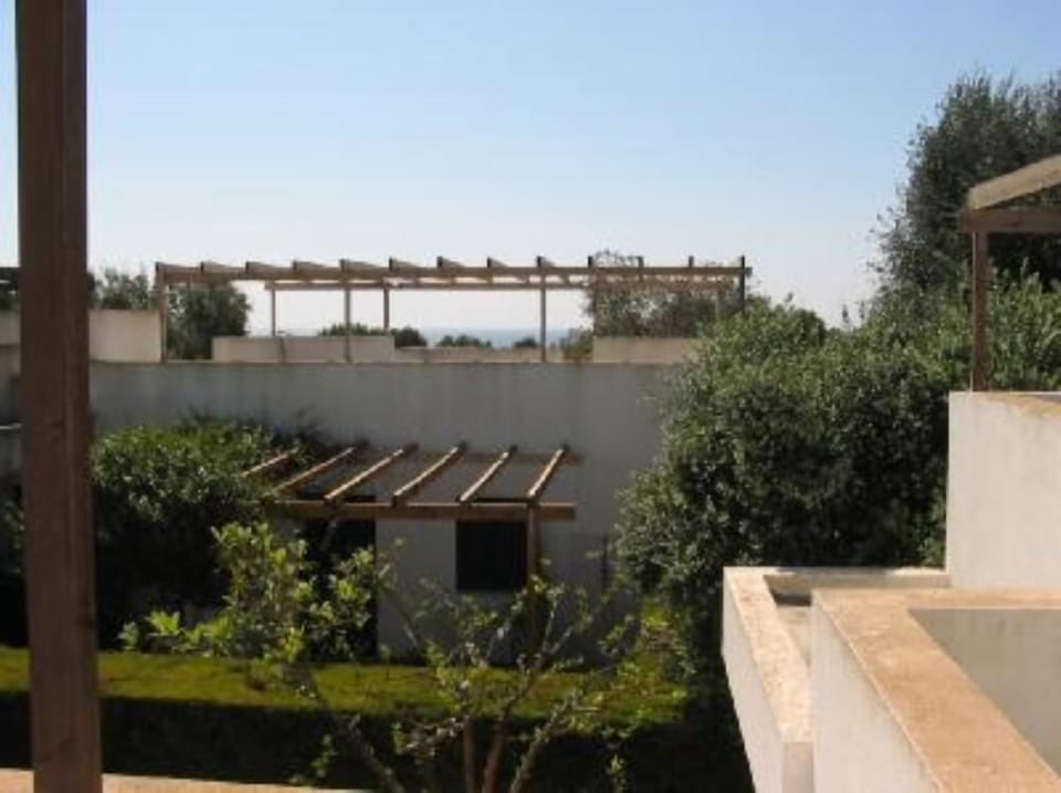 Terrace / Balcony