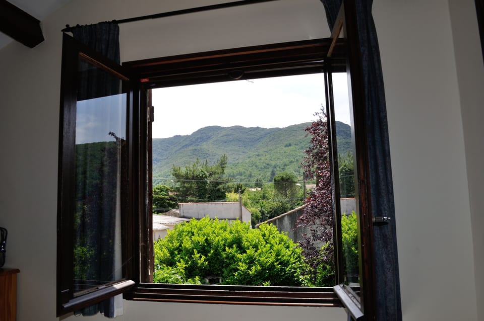 View of the forest from the front bedroom upstairs