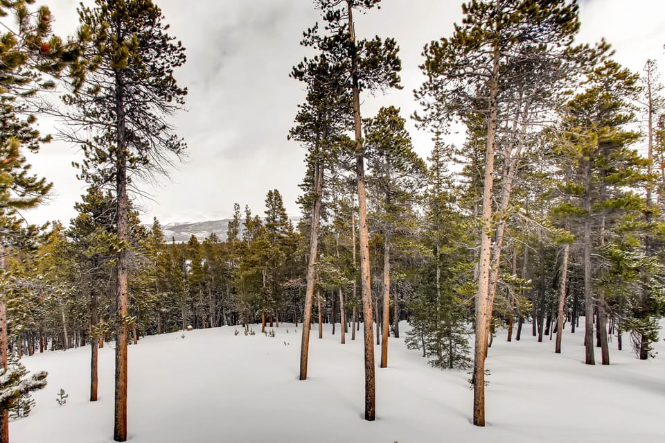This was a cloudy day but the home is surrounded by forest and mountain views.