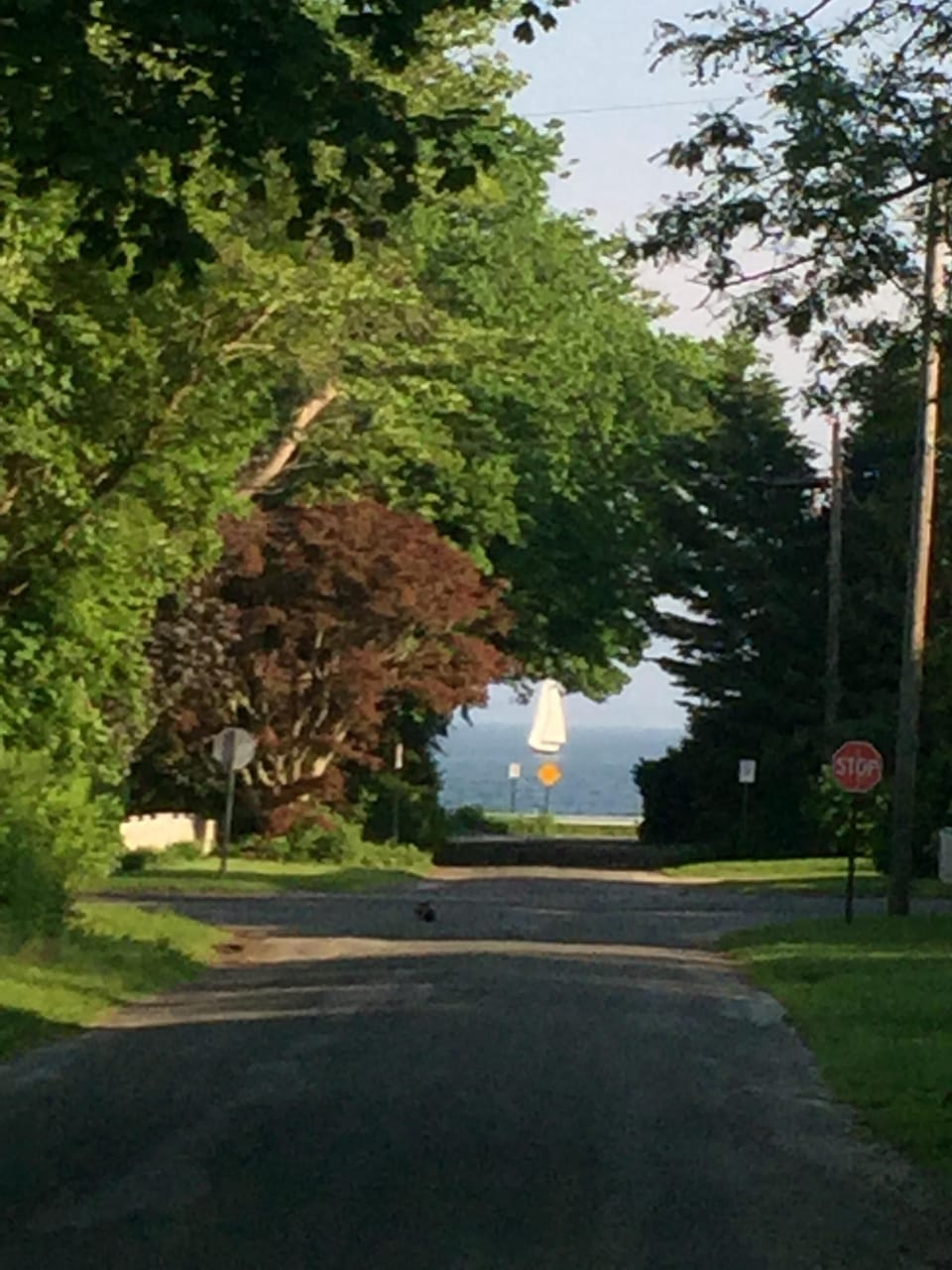 Walk to the beach