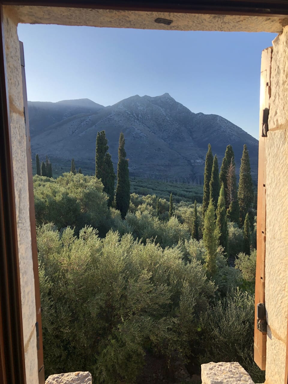 View from the living room