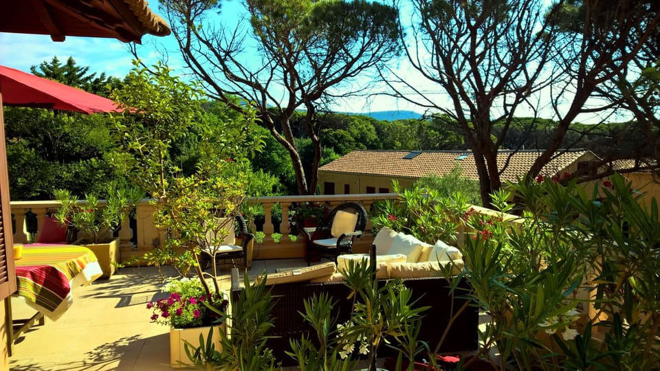 Terrace garden