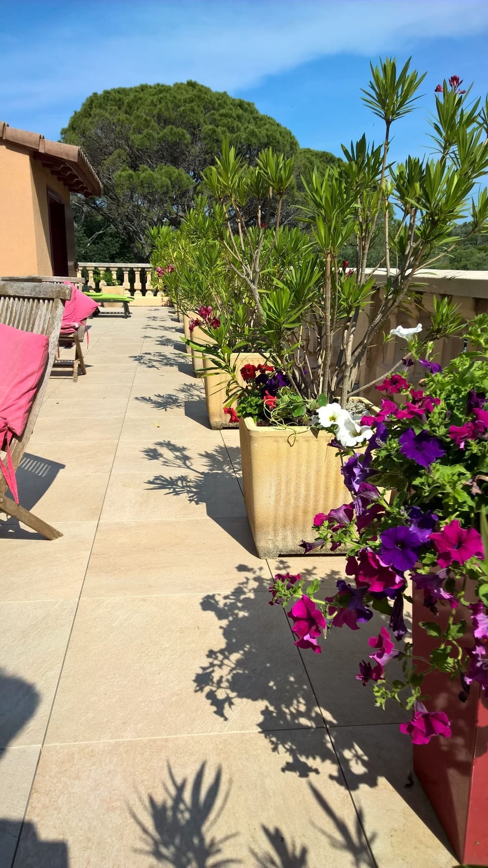 Terrace/patio