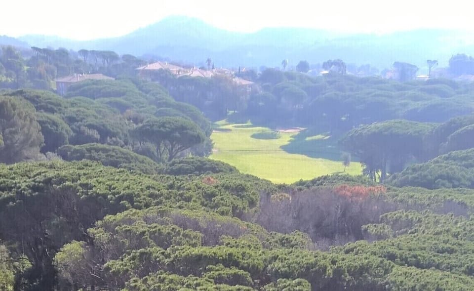 View of Valescure golf club from Residence