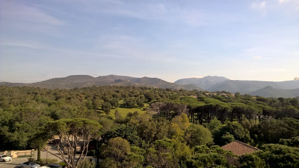 View from terrace