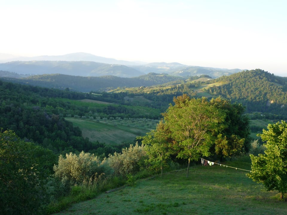 The green hills
