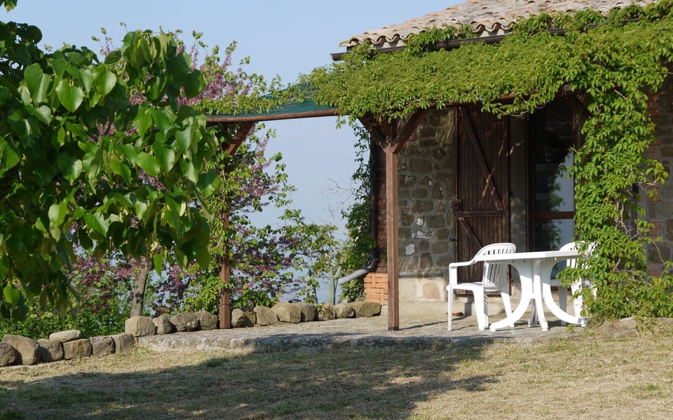 The pergola
