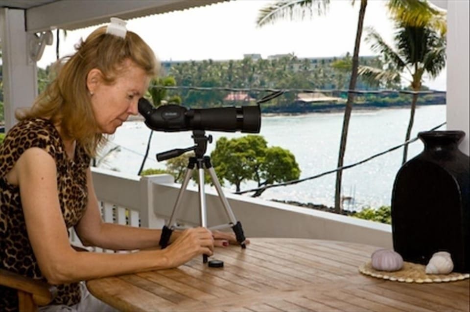 Free Spotting Scope to view the Whales and Dolphins